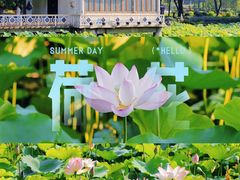 -荔湾湖公园