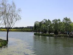 -东郊湿地公园