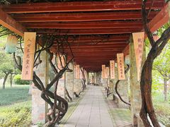 -望江楼公园