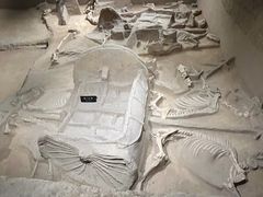 -洛阳周王城天子驾六博物馆