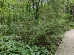 -黑龙江省森林植物园