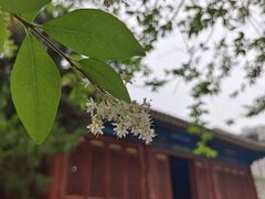 -大钟寺古钟博物馆
