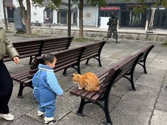 -绍兴启迪乔波冰雪世界