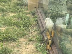 -济南野生动物世界