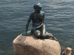 -美人鱼