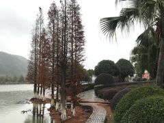 -明月山天沐温泉度假村