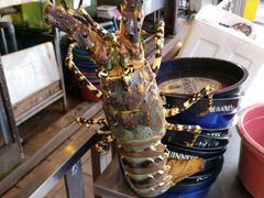 -真浪花园海鲜餐馆