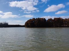 -上海海湾国家森林公园