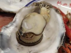 -小辉哥大排档(船山路总店)