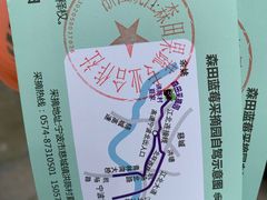 -森田蓝莓采摘园
