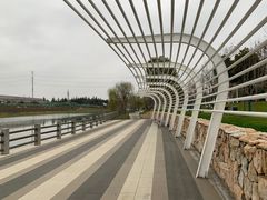 -九里河湿地公园