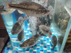 -湘阁里辣(沙井华润万家店)