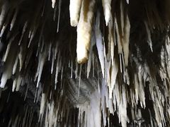 -怀托摩萤火虫洞