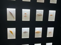 -河南自然博物馆