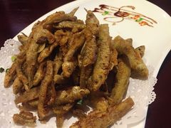 -温汤大酒店餐厅