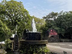 -海口火山口国家地质公园