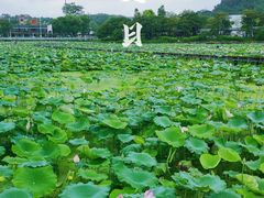 -红山村