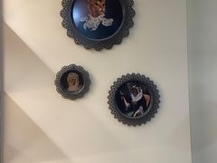 -滚猫咖啡·猫咖·猫友好撸猫(未来城店)