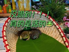 -蓝珊甄选海鲜自助·火锅大排档(近阿那亚店)