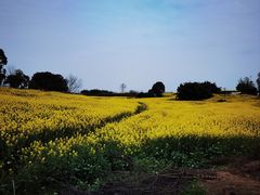 -中国天府农业博览园