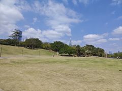 -深圳湾公园(南山区)