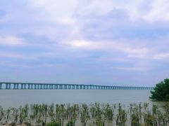 -宝安西湾红树林湿地公园