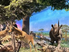 -国家自然博物馆