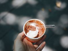 -Dip in Gelato(富民路店)