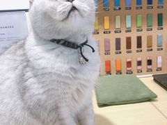 -Oasis绿洲银饰珍珠手作diy(壹方城店)