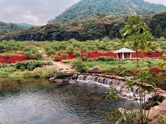 -广州市石门国家森林公园