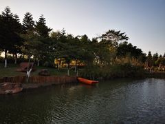 -映月湖公园