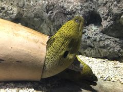 -福州罗源湾海洋世界旅游区