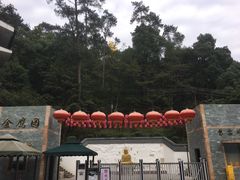 -大金鹰园