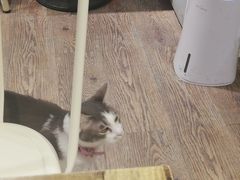 -小时光咖啡馆(开森度假森林店)