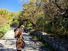 -北京十三陵国家森林公园蟒山景区