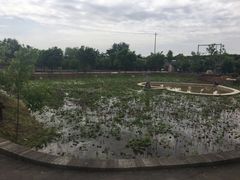 -长安上水缘度假庄园