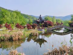 -石塘人家