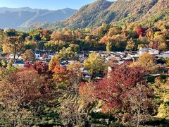 -塔川景区