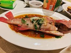 -上海瑞金洲际酒店