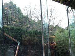 -外滩悦榕庄·海怡西餐厅