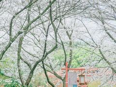 -中国茶叶博物馆(双峰馆区)