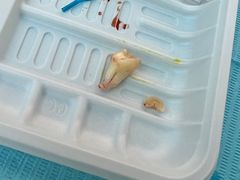 -牙博士口腔品牌连锁(杨浦店)