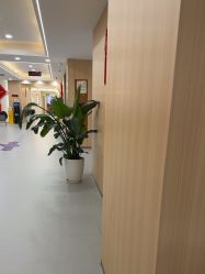 -上海伊莱美医疗美容医院