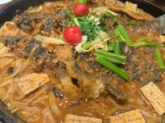 -老板恋上鱼(恒隆广场店)