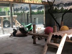 -西安秦岭野生动物园