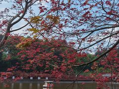-重庆彩云湖湿地公园