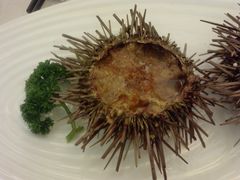 P1159[01]_24-01-12-百纳·锦绣江南 (百纳瑞汀酒店)