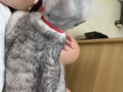 -宠福鑫康馨动物医院·骨科·眼科