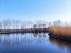 -绿堤公园