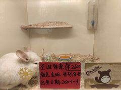 -龙猫仔乐园(惠福东路店)